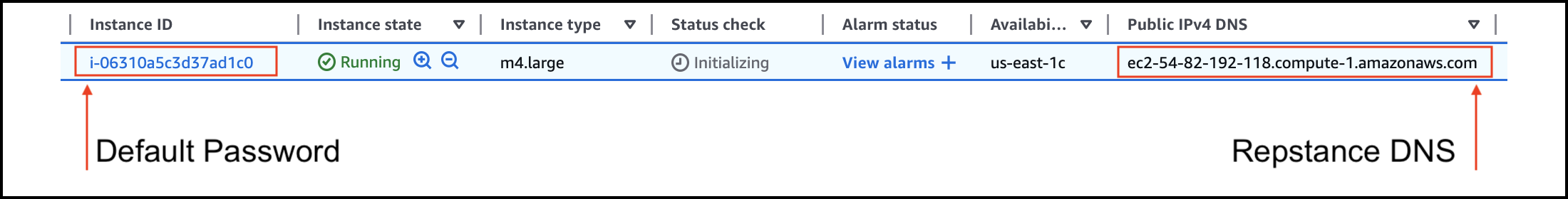 AWS console, Instances list: the Instance ID (the default password) and the Public IPv4 DNS (the Repstance DNS)